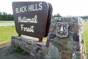 Black Hills Parks
