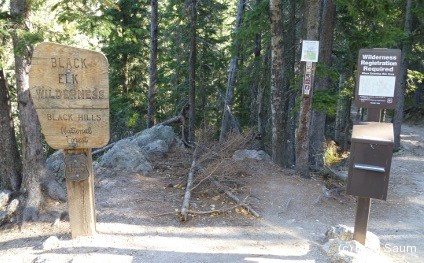 Trail to Harney Peak