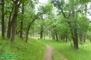 Black Hills Hiking