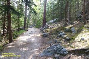 Harney Peak hiking trail.