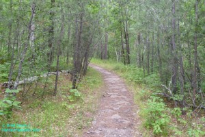 Lovers Leap Trail