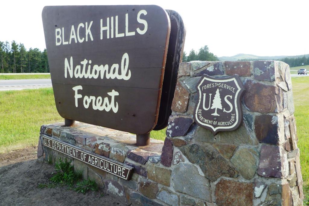 hotels near black hills national forest
